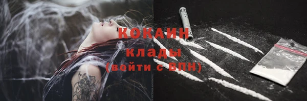 твердый Белокуриха