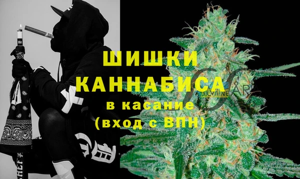 твердый Белокуриха