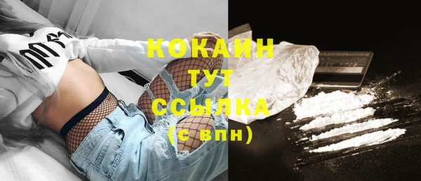 твердый Белокуриха