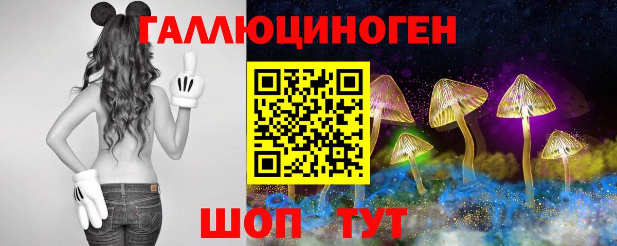 Галлюциногенные грибы Psilocybe  Вход с VPN  Воскресенск 